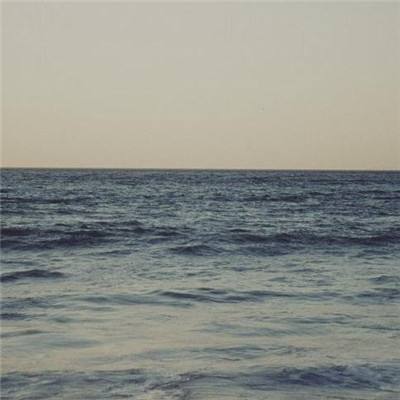 永盈会手机版手机app下载